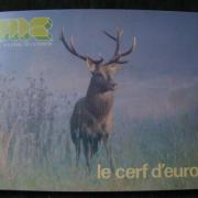 Lot 5 DVD chasse grand gibier - DVD grand gibier (9880331)