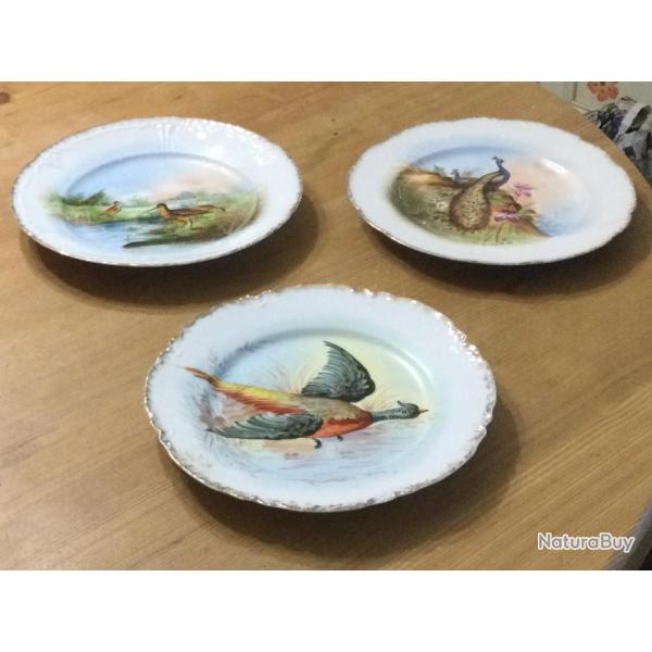 Assiettes dcoratives en porcelaine motif oiseaux