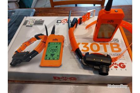 Ensemble collier GPS et dressage X30T Dogtrace