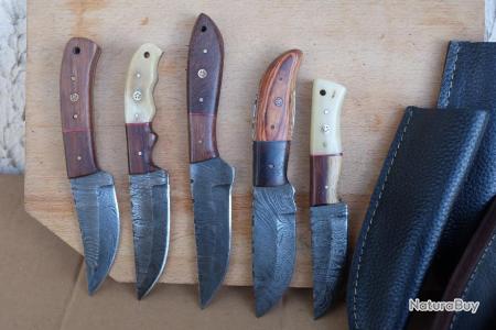 Lot de 5 couteaux manche bois