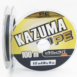 Tresse Kazuma PE en bobine de 100m 10/100