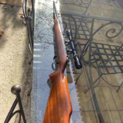 carabine remington 5mm