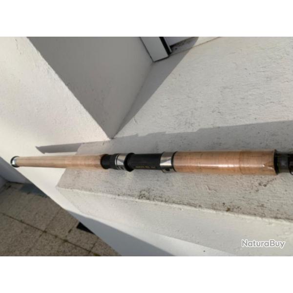Canne surf casting 3,50m