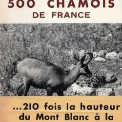 Sur les traces de mes 500 chamois de France