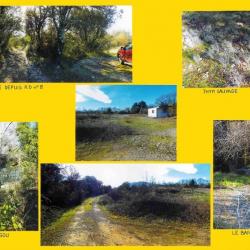 114,2848 ha - FORÊT DE SABATIER - ( 30 ) GARD
