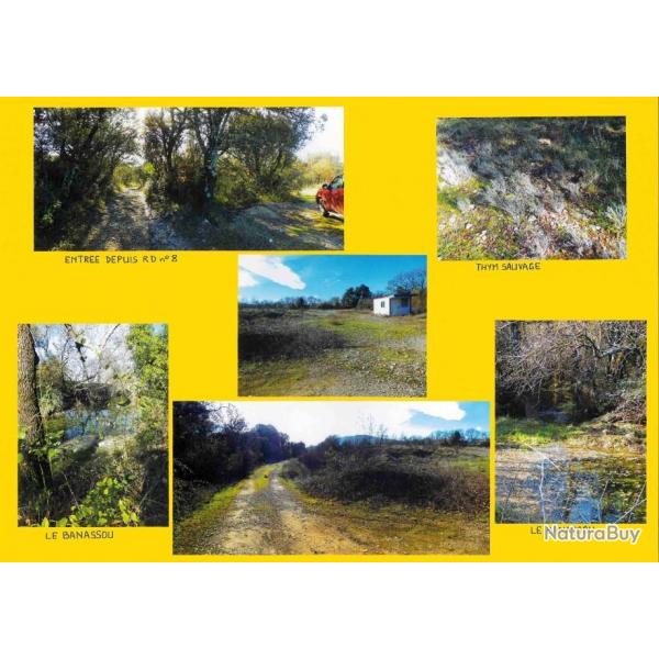 114,2848 ha - FORT DE SABATIER - ( 30 ) GARD