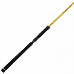 Canne Illex Element Rider X5 S240 2mh-h 15-50g Yellowshot