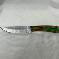 Couteaux découpe droit 23cm forgé Damas vert/jaune