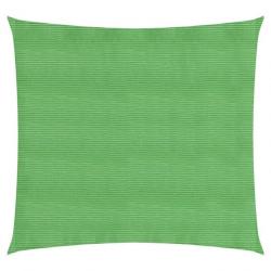 Voile d'ombrage 160 g/m² Vert clair 2x2 m PEHD