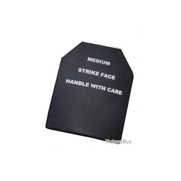 PLAQUE SAPI X1