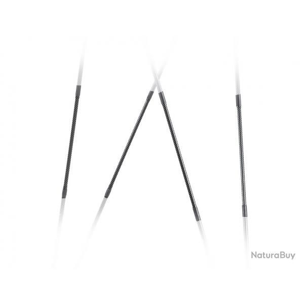 EXTENSION CARBONE
