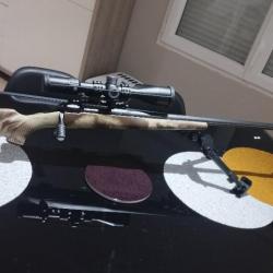 Savage 10 fcp