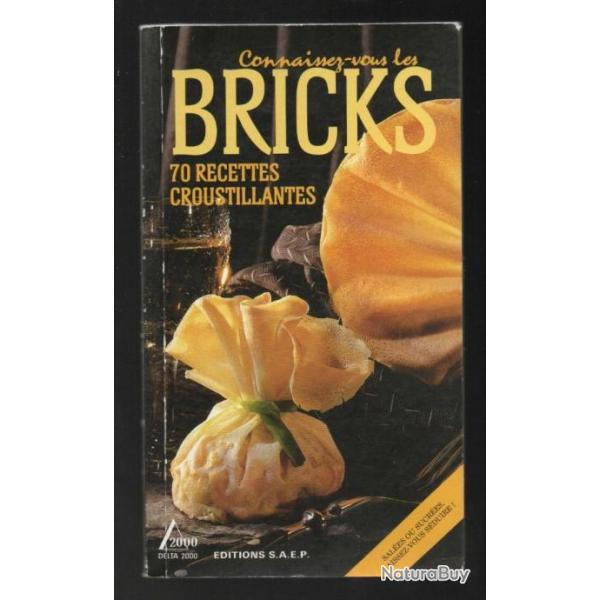 connaissez les bricks 70 recettes croustillantes   collection delta 2000