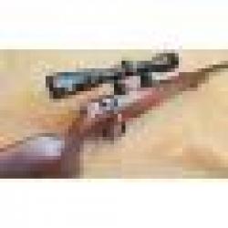 Carabine Anschutz 1515-1516 calibre 22 Mag Lunette 3-9x40