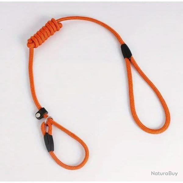 Laisse à chien fluo