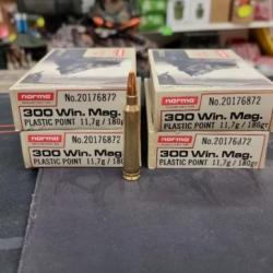 10 btes Balles norma 300 win mag ppdc 180gr