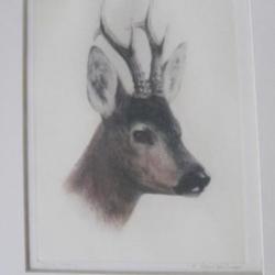 tableau de chasse de Kurt Meyer Eberhardt,  tête de brocard.