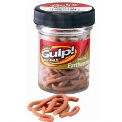 Appât Berkley Gulp Earthworm Brown