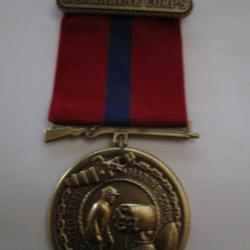 Marine Corps Good Conduct Medal (2)