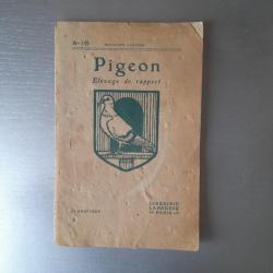 Pigeon, élevage de rapport - Larousse