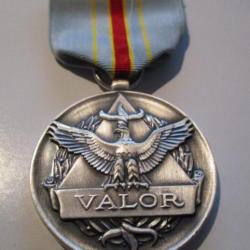 Air Force Civilian Award for Valor Medal