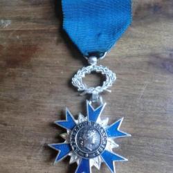 medaille de chevalier de l ordre national du merite email  bronze argenté