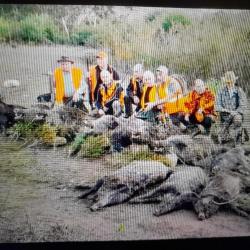 sejour de chasse aux sangliers en tunisie