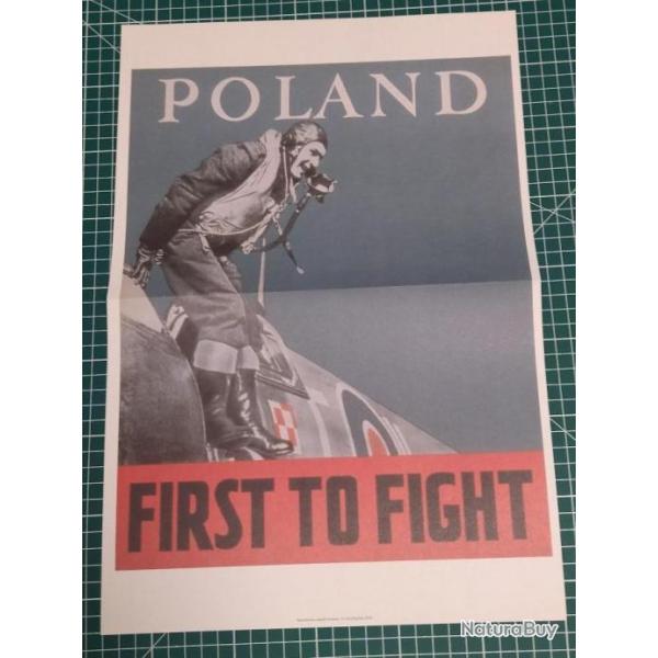 AFFICHE PROPAGANDE 39/45, REPRODUCTION 28 X 41,5 CM, AVIATION WW2 POLOGNE (11)