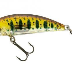 PHOXY MINNOW HW 40 S T07 (Ghost Natural Trout)