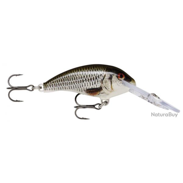 SHAD DANCER Live Roach (ROL)