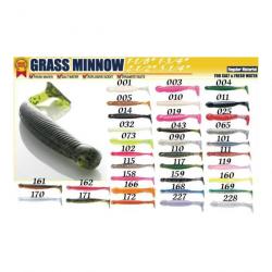 Grass minnow M 004