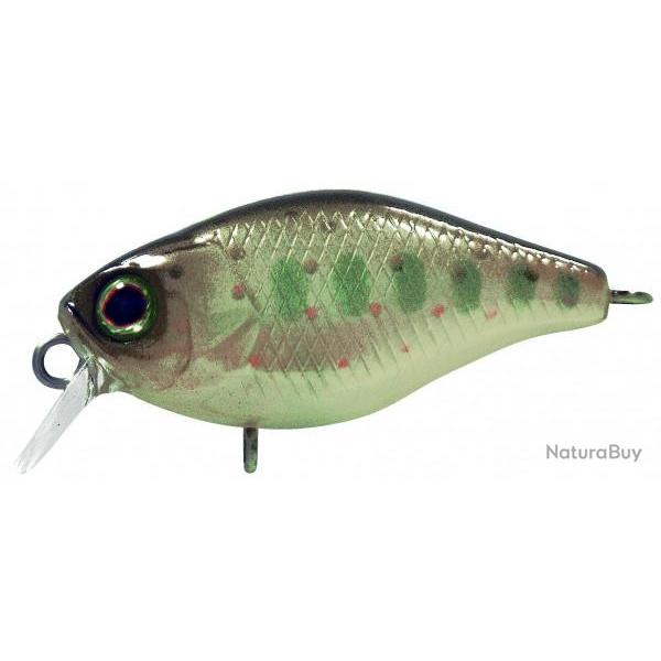 Crankbait ILLEX Chubby 38 Truitelle