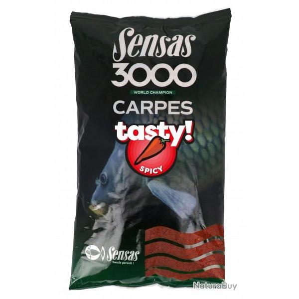Amorce SENSAS 3000 Carp Tasty Spicy 1kg