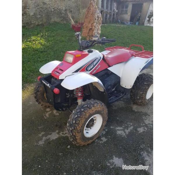 Quad Polaris 325 Trail Boss Quads (11294515)