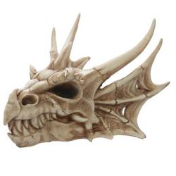 Crâne de Dragon