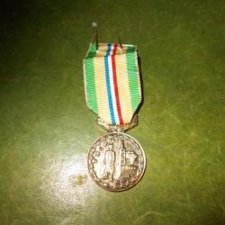 ancienne medaille militaire militaria FNCPG prisonniers de guerre monde solidaire metal doré soldat