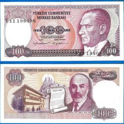 Turquie 100 Lira 1984 Billet Lirasi Liras