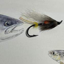 mouche saumon modèle Peltier numéro 2
