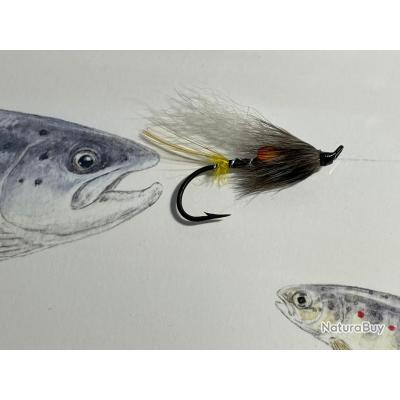 Mouches De Pêche Au Saumon Garry Chien – Paquet De 8 – Tailles 4 à 10 – BestCity