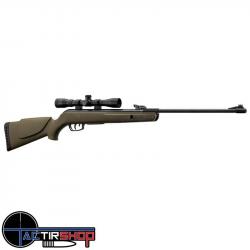 Carabine à plomb Gamo Big Cat 1000E Barricade 19.9 Joules 4.5 mm avec lunette 4x32WR