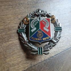 insigne 1er regiment etranger de cavalerie