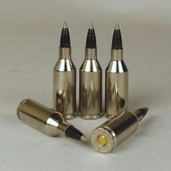 munitions 243 WSSM Winchester ballistic silvertip 55 gr x20