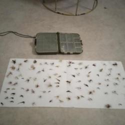 Je vends 98 mouches de qualités pour la pêche