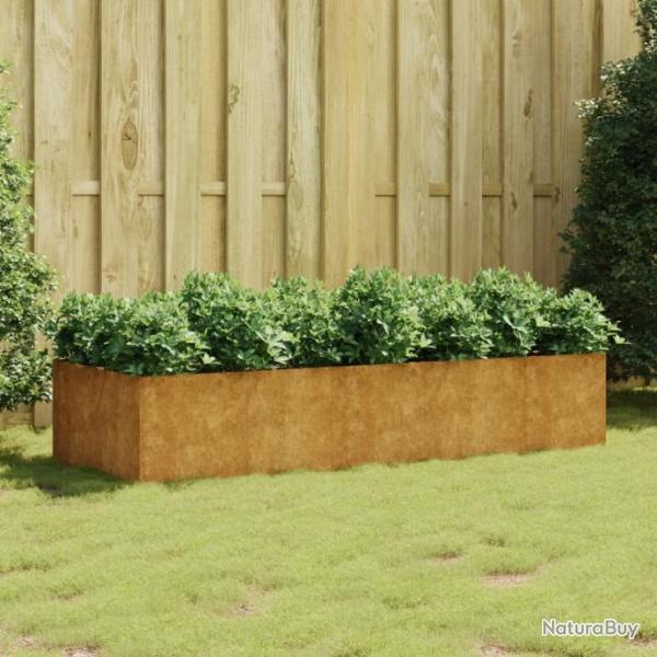 Lit surlev de jardin 200x80x40 cm acier corten