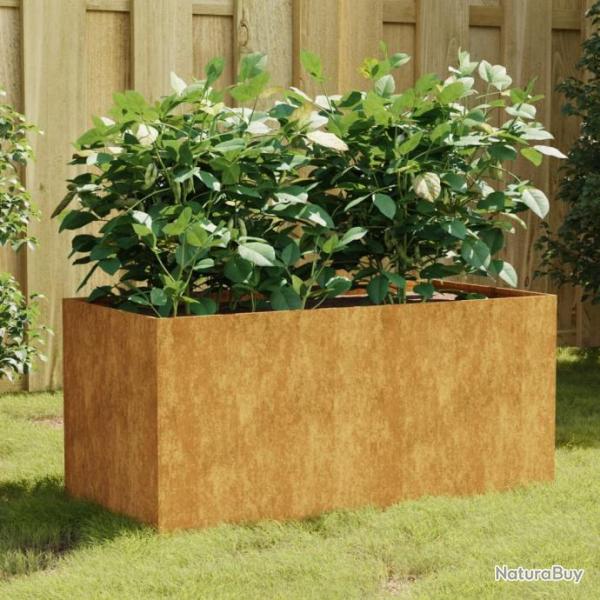 Jardinire 80x40x40 cm acier corten