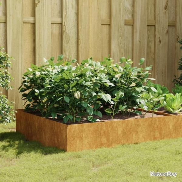 Lit surlev de jardin 100x100x41 cm acier corten