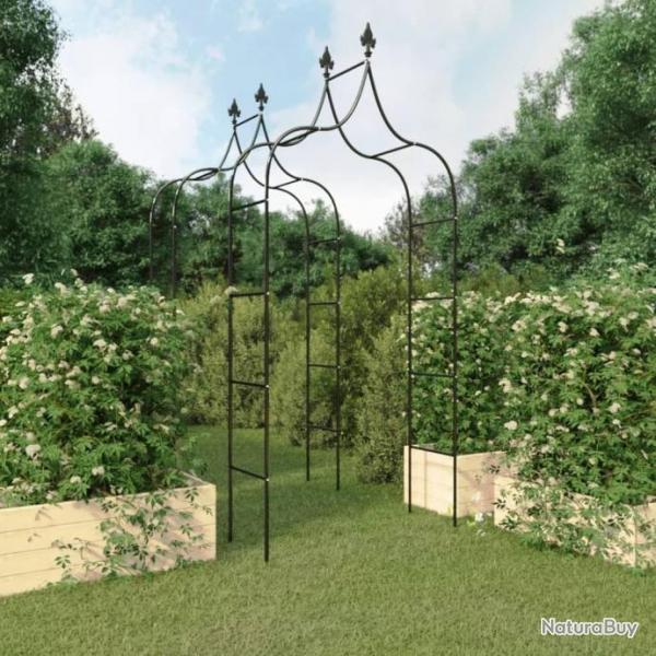 Arches de jardin 2 pcs Noir 120x38x260 cm Acier