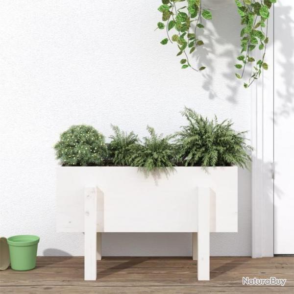 Jardinire blanc 62x30x38 cm bois massif de pin