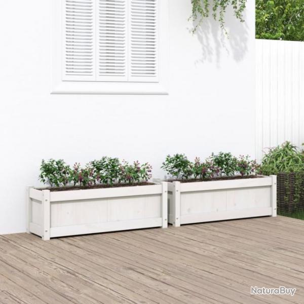 Jardinires 2 pcs blanc bois de pin massif