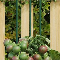 Piquets pour plantes de jardin 30 pcs vert 180 cm acier